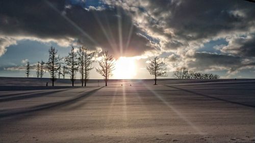 Sunlight streaming through trees against sky during sunset