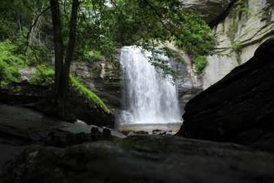 Scenic view of waterfall in forest