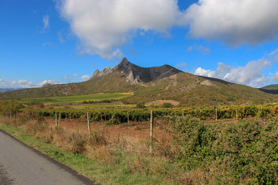 Scenic view of field by mountain against sky