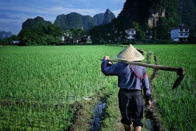 Rear view of man in field