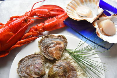 High angle view of seafood served in plate