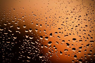 Close-up of water drops against sky