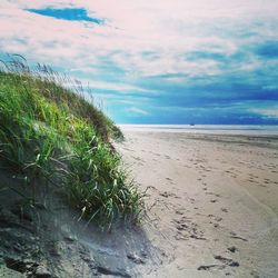 Scenic view of beach against sky