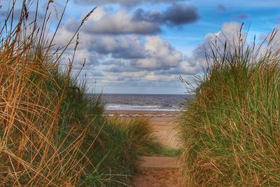 Scenic view of sea against cloudy sky