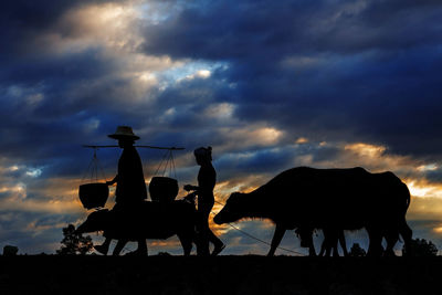 Silhouette horse against dramatic sky