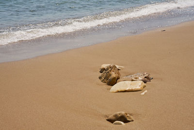 High angle view of wet sand on beach