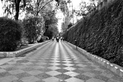 People walking on footpath in park