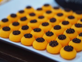 Close-up of cake on plate