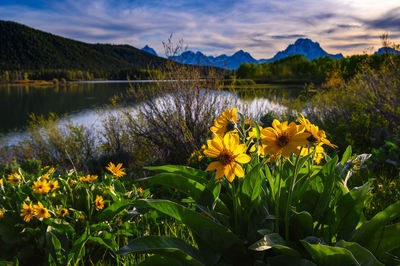 Scenic view of lake against sky