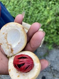 Close-up of hand holding ice cream