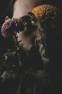 Close-up of wilted flower in vase