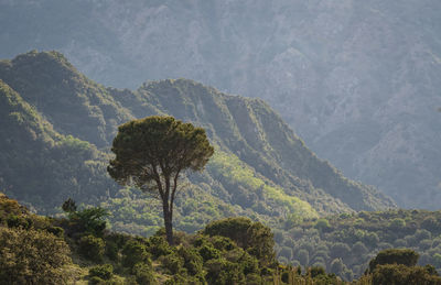 Scenic view of mountains