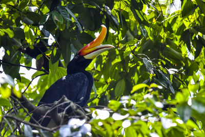 Bird perching on a tree