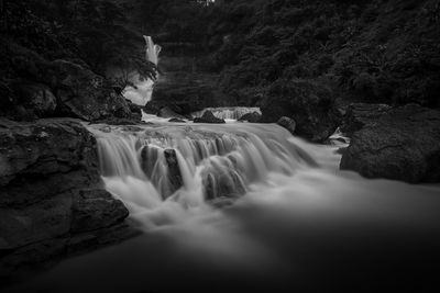 Scenic view of waterfall in forest