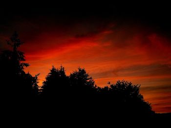 Silhouette trees against dramatic sky during sunset