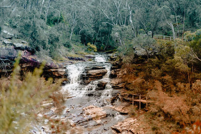 Stream flowing through rocks in forest