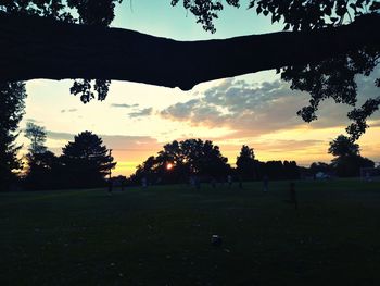 Silhouette trees on field against sky at sunset