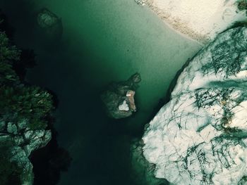 High angle view of turtle swimming in sea