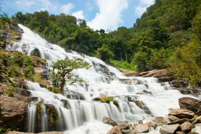 Scenic view of waterfall in forest