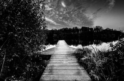 Boardwalk amidst trees against sky