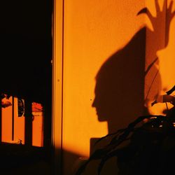 Portrait of silhouette man against orange wall