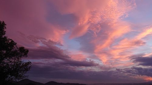 Low angle view of silhouette trees against dramatic sky