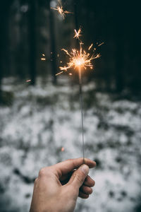 Person hand holding firework display