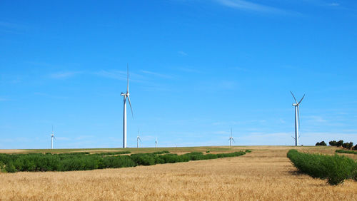 Scenic view of field against clear blue sky