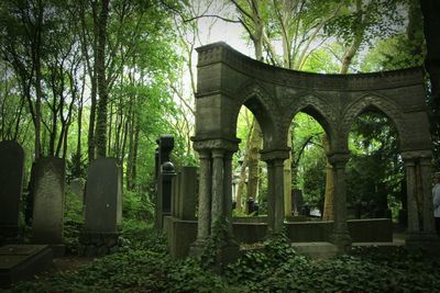 Tombstones amidst trees at weissensee cemetery