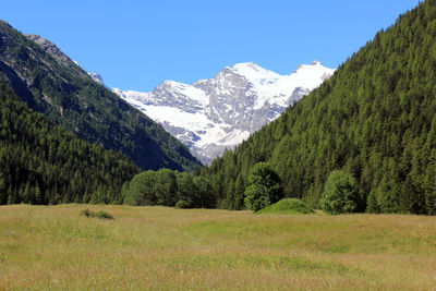 Scenic view of field and mountains against sky