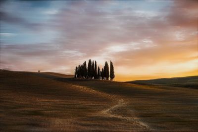 Scenic view of field against sky during sunset