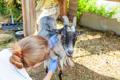 Side view of woman with goat