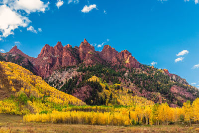 Scenic view of autumn trees against sky