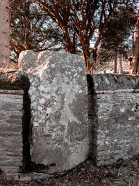 View of stone wall