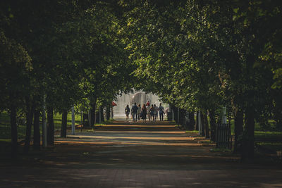 People walking on footpath amidst trees