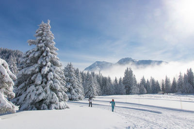 Cross country skiing on a snowy track in the alps in france