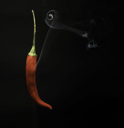 Close-up of chili pepper against black background