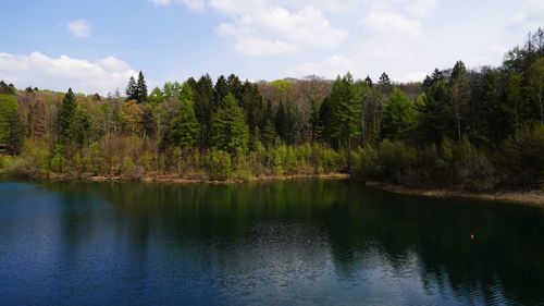 Scenic view of lake by trees against sky