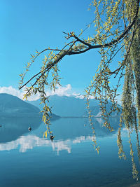 Tranquil morning on the lakeside 