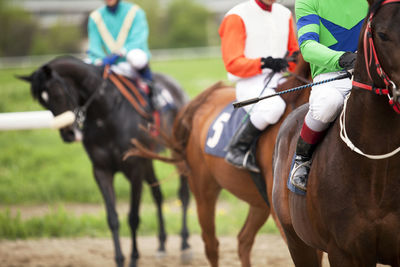 Horse racing detail