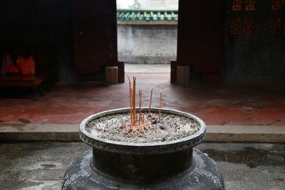 Close-up of water in temple