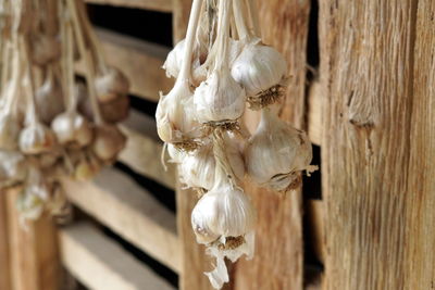 Close-up of garlic hanging against plank