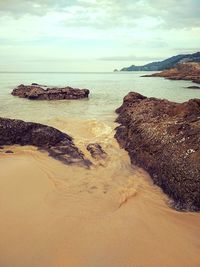 Scenic view of beach