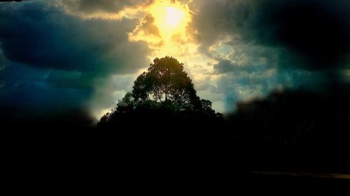 Low angle view of silhouette trees against dramatic sky