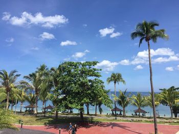 Trees at park by sea against sky