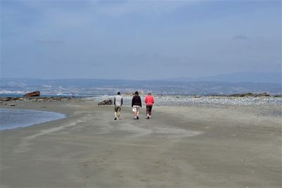 Rear view of men walking at beach against sky
