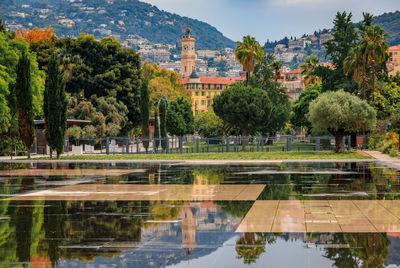 Reflection of trees in water