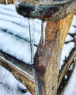 Close-up of snow on wood