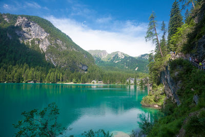 Scenic view of lake by trees against sky