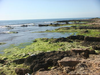 Scenic view of sea against clear sky